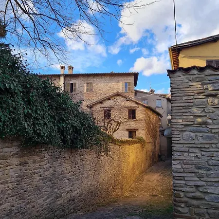 Casa Colocci Apartment *